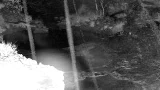 Still 1 from this detection