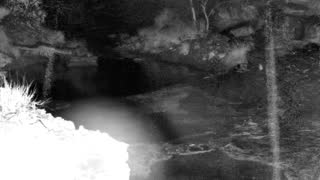 Still 1 from this detection
