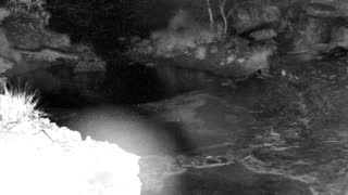 Still 1 from this detection