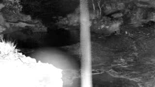 Still 1 from this detection