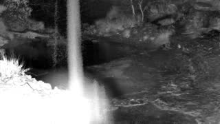 Still 1 from this detection