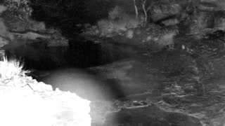 Still 1 from this detection