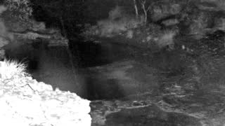 Still 1 from this detection