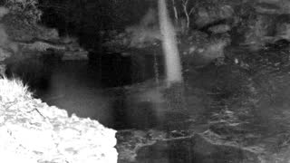 Still 1 from this detection