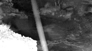 Still 1 from this detection