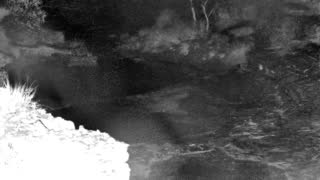 Still 1 from this detection