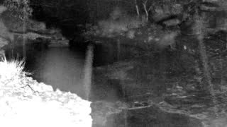 Still 1 from this detection