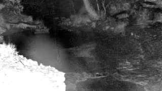 Still 1 from this detection