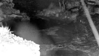 Still 1 from this detection