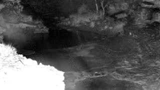Still 1 from this detection