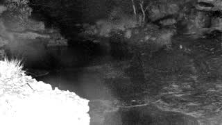 Still 1 from this detection