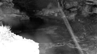 Still 1 from this detection