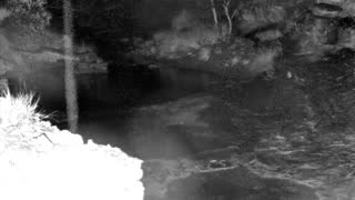 Still 1 from this detection