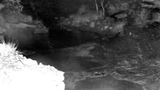 Still 1 from this detection
