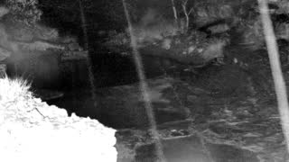 Still 1 from this detection