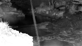 Still 1 from this detection