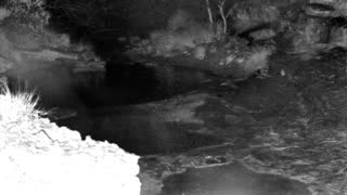 Still 1 from this detection