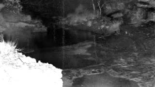 Still 1 from this detection