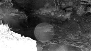 Still 1 from this detection