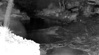 Still 1 from this detection