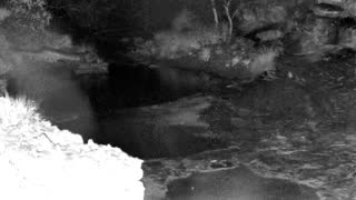 Still 1 from this detection