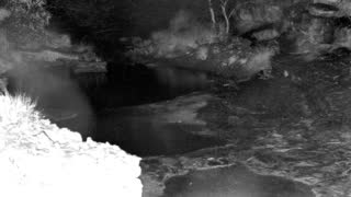 Still 1 from this detection