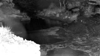 Still 1 from this detection