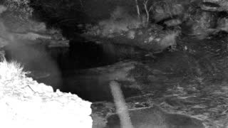Still 1 from this detection