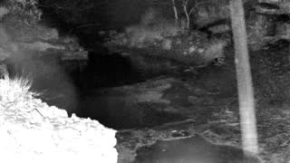 Still 1 from this detection