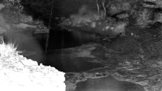 Still 1 from this detection