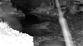 Still 1 from this detection