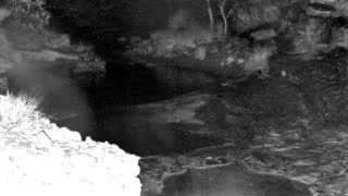Still 1 from this detection