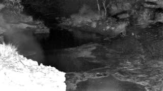 Still 1 from this detection