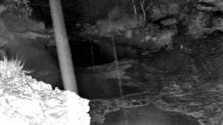 Still 1 from this detection