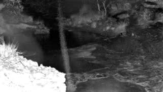 Still 1 from this detection