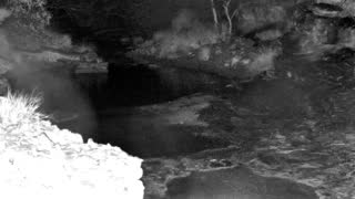 Still 1 from this detection