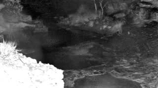 Still 1 from this detection
