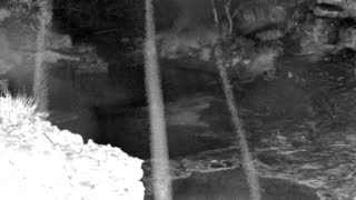 Still 1 from this detection