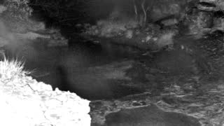 Still 1 from this detection