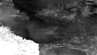 Still 1 from this detection