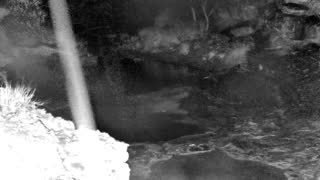 Still 1 from this detection