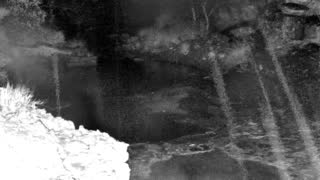 Still 1 from this detection