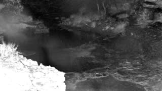 Still 1 from this detection