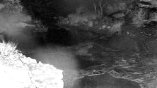 Still 1 from this detection