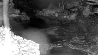 Still 1 from this detection