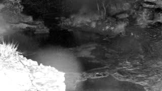 Still 1 from this detection