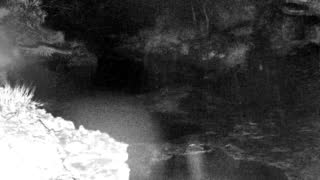 Still 1 from this detection
