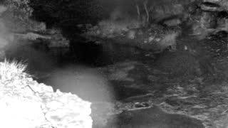 Still 1 from this detection