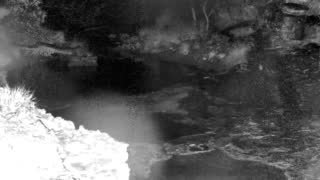 Still 1 from this detection