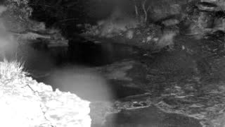 Still 1 from this detection